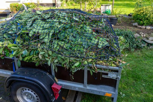 Best Property Management Cleanouts  in Shady Side, MD